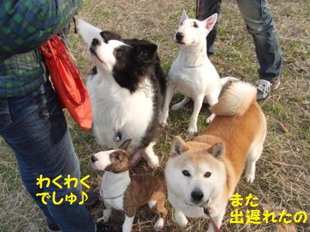 出遅れ