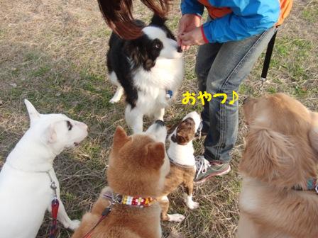 おやつ