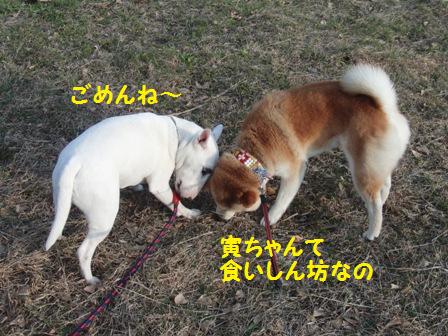 食いしん坊