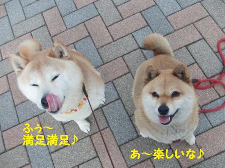 満足