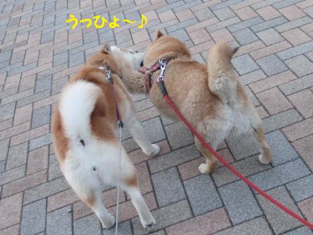うっひょ~