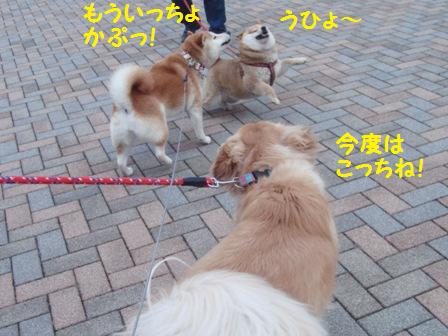 ぱくっ