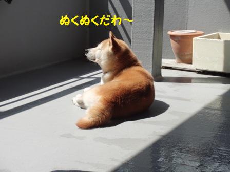 ぬくぬく