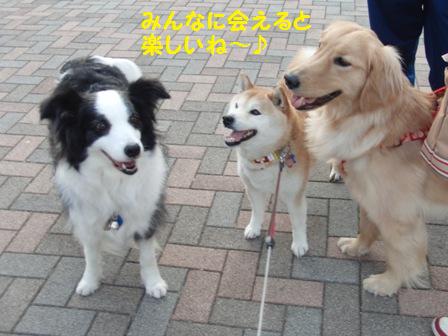 楽しいね