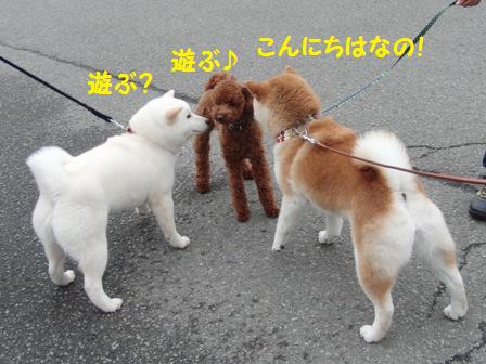 遊ぶ
