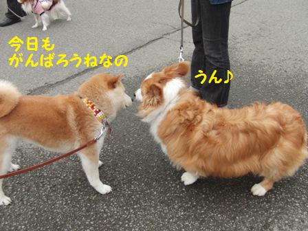 がんばろうね