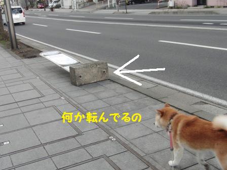 転んでる