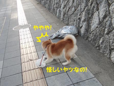 あやしい