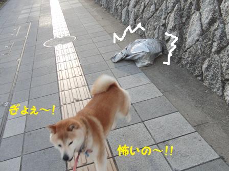 こわい
