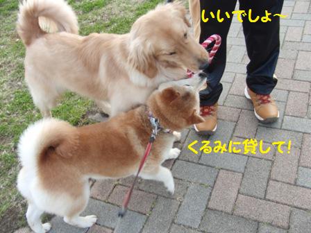 貸して