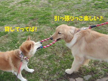 貸してったら