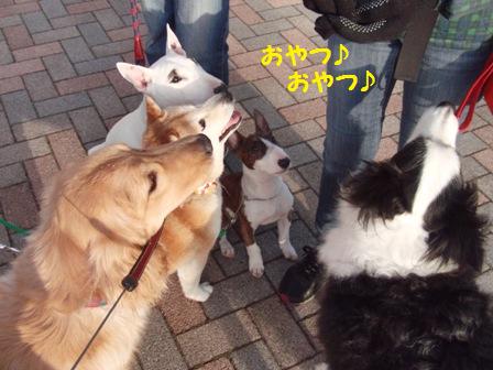おやつ