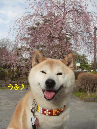うふ♪
