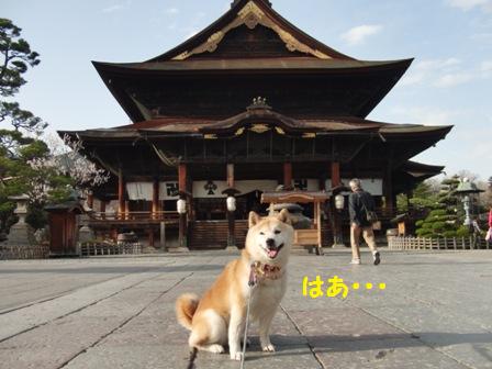善光寺