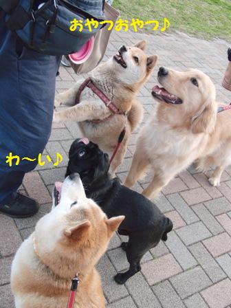 おやつ