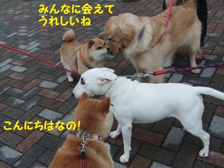 みんなに会えた