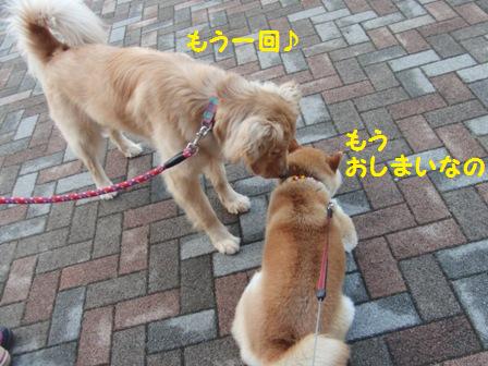 もう一回