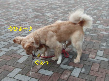 うひょ