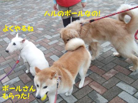 ボール