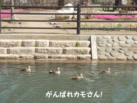 がんばれ
