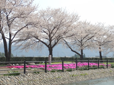 対岸