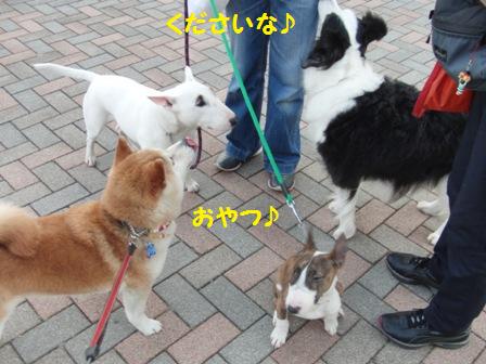 おやつ