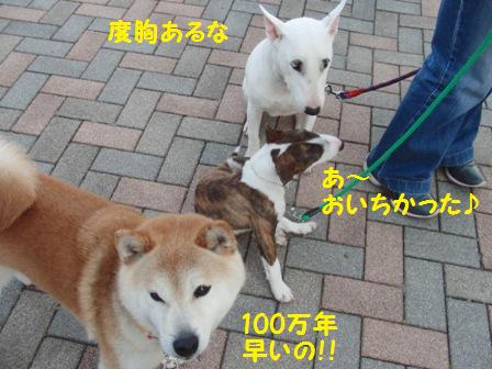 100万年