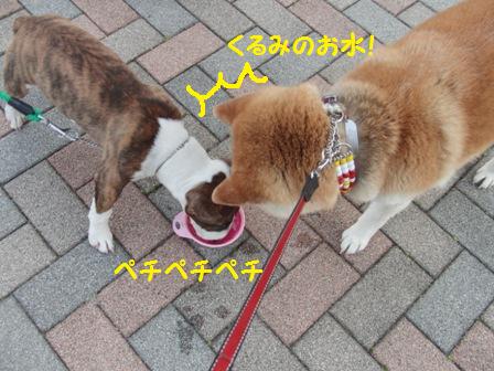 お水
