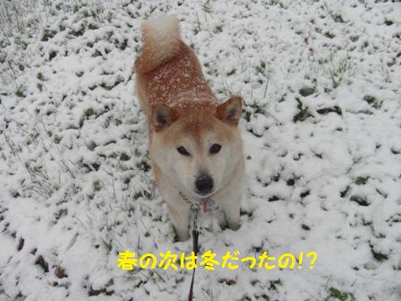 冬