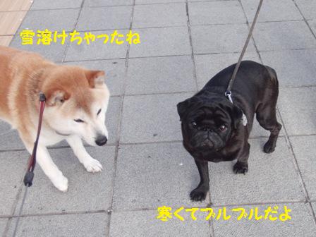 福ちゃん