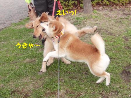 ハルちゃん