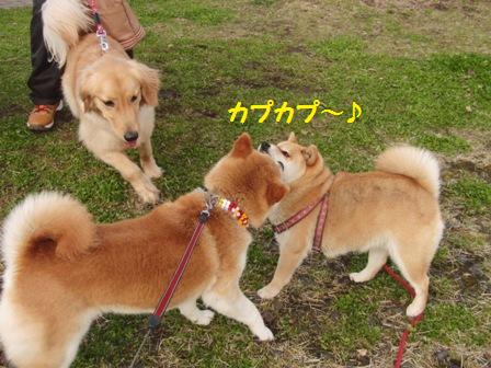 さくらちゃん