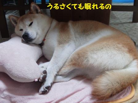 眠れる