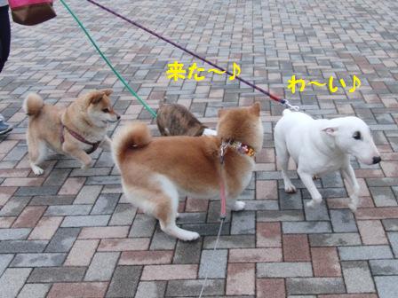 来た~!