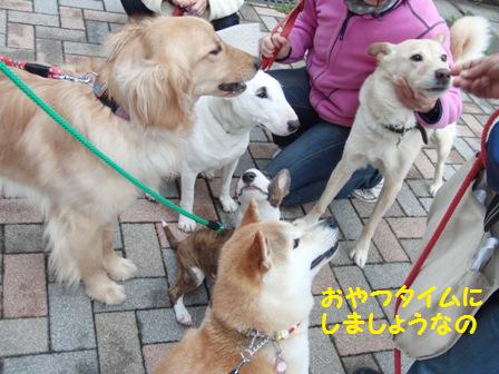 おやつタイム