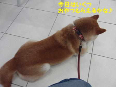 おやつ