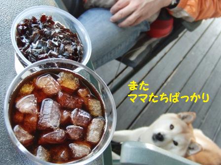 ママたちばっかり