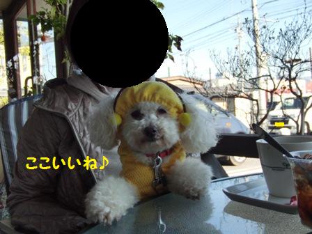 ここいいね