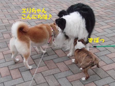 エリちゃん