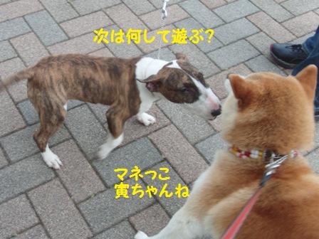 次は?