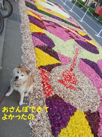 おさんぽ