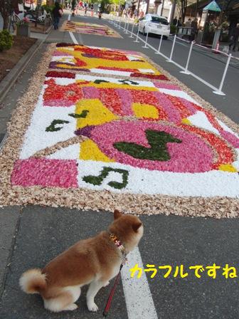 カラフル