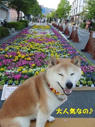 大人気