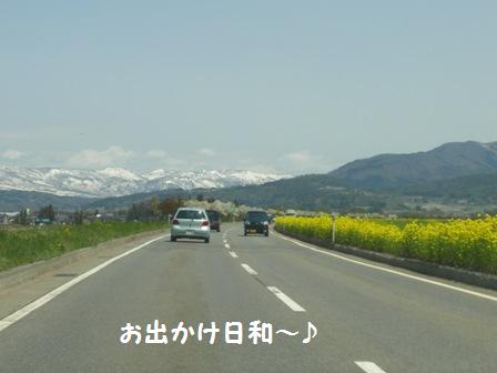 お出かけ日和