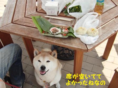 空いてて良かった