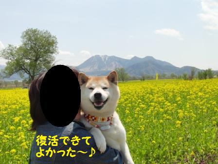 復活