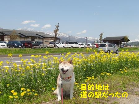 道の駅