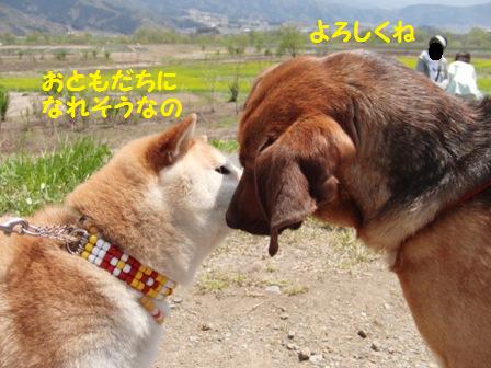 おともだち