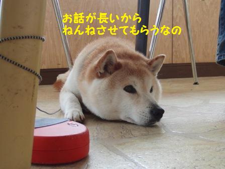 ねんね