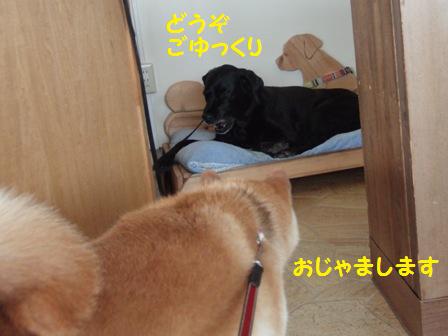 おじゃまします